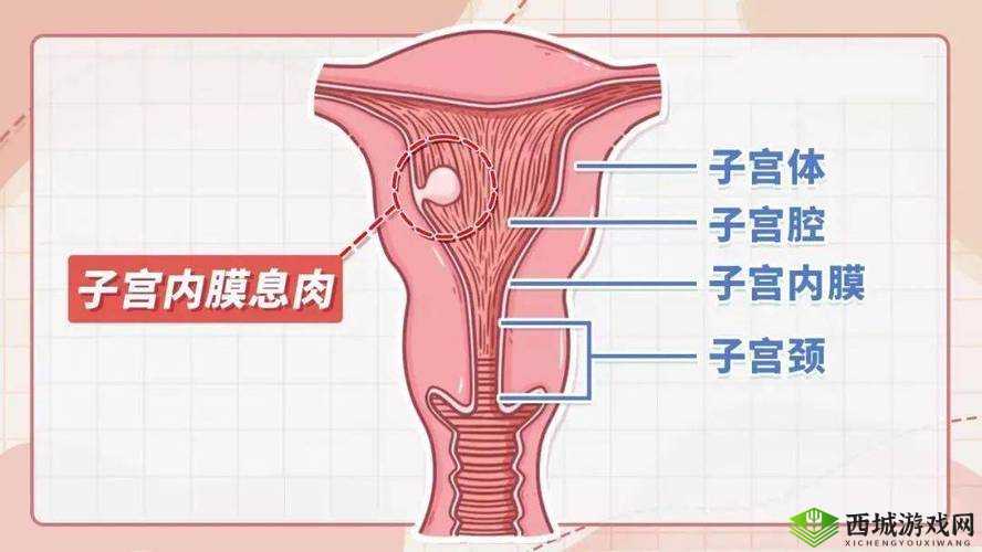 大蘑菇进入子宫的 10 个原因:异物进入、姿势不当、疾病影响等