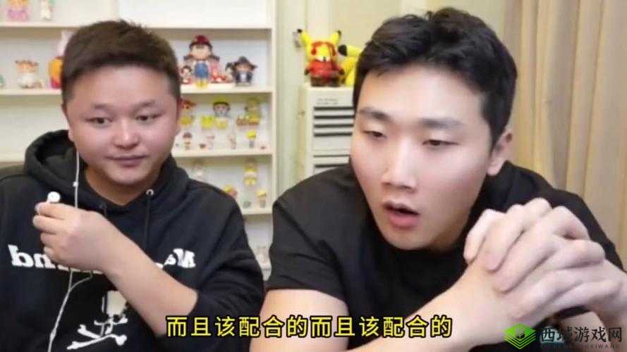 Zoom 另一类 ZZO03 被下架后首次复活:浴火重生?