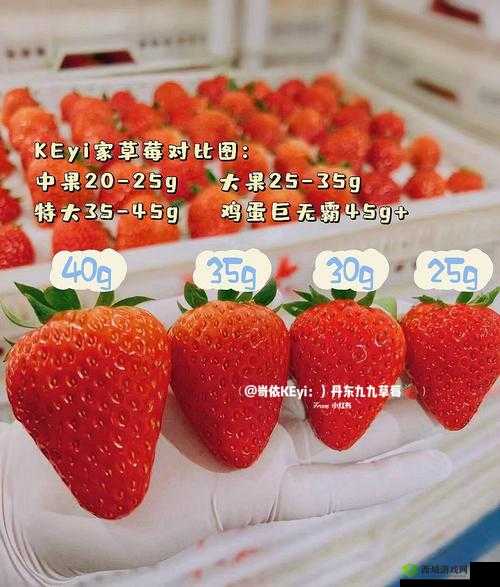 蜜丝婷大草莓与小草莓对比:有何不同