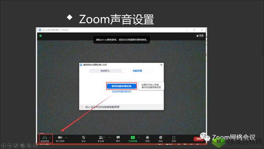 揭秘 ZOOM 与人性 ZOOM2024:是否不限制出入