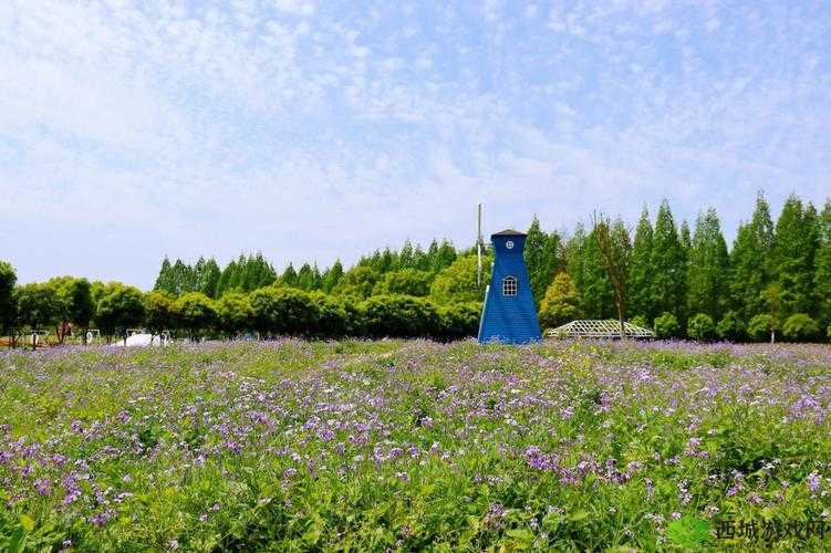 新洲区香草伊甸园景区:梦幻之旅等你开启