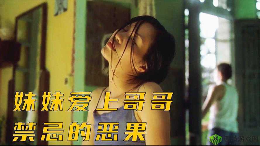 爆炒通感双胞胎：禁忌的兄妹之爱