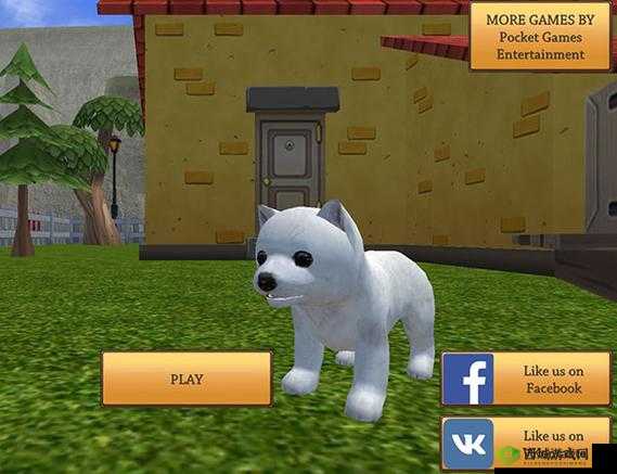 美国 ZOOM 动物 ZOOM 系列：探索奇妙动物世界