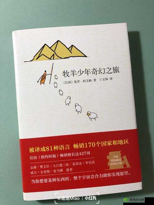 Do 才能通关小说:踏上非凡挑战之旅