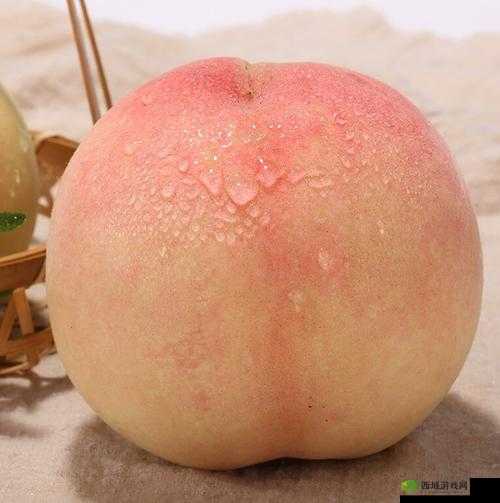 水蜜桃 4 双管齐下:甜蜜多汁好味道