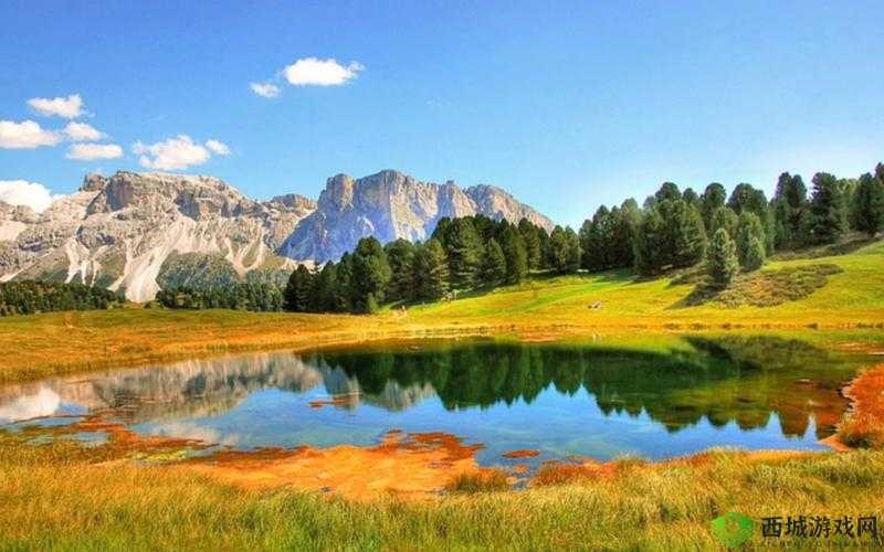 野花韩国高清免费神马百度：一场视觉的盛宴