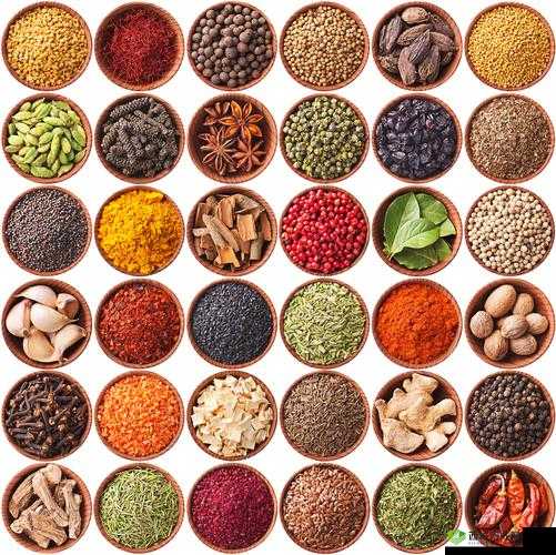 茄子丝瓜草莓香草榴莲大全:美味蔬果与香料集合