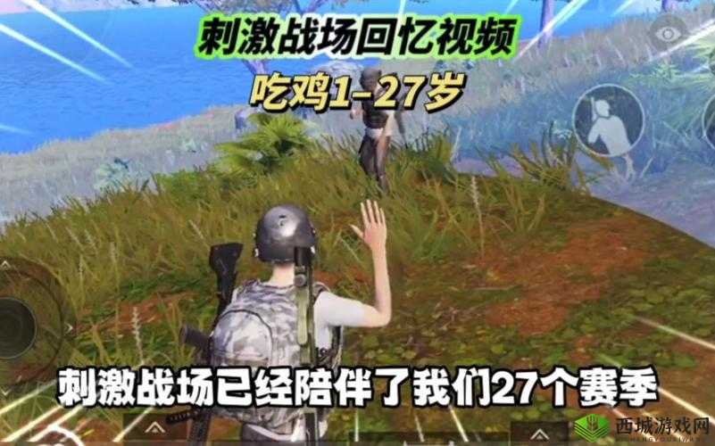 国外 b 站刺激战场直播视频:精彩对战瞬间