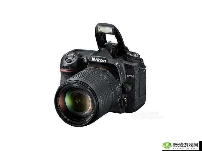 VR 欧洲尺码专区:支持用户在线评论