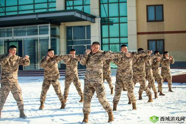 模拟帝国士兵全面训练攻略：精英士兵锻造手册