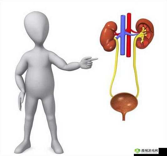 一晚上梅开八度对身体影响大吗