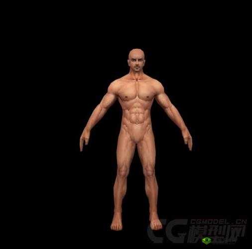 男男模特视频:裸♂体♂模♂特♂