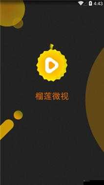 榴莲微视 app 网站下载：畅享精彩视频资源