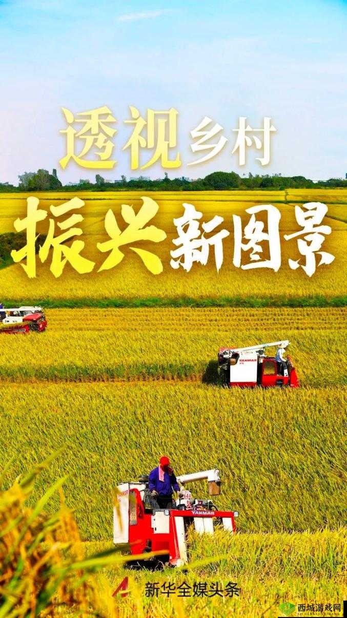 1204 手机基地你最懂：专业解读与服务