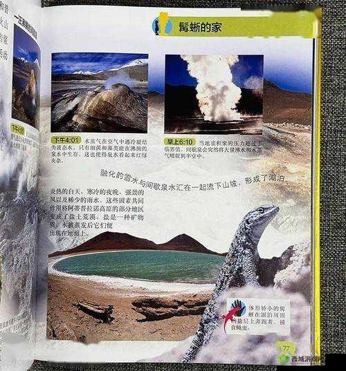 gy3543 三叶草：探索未知的神奇旅程