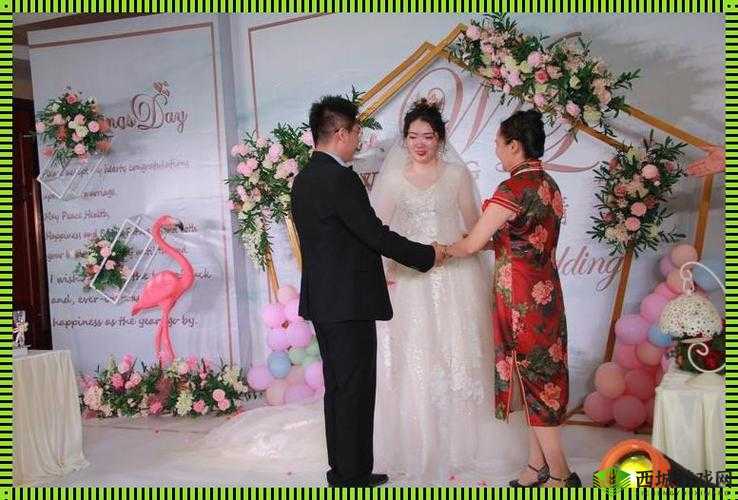 亲情会王芳高敏大团圆即将上线新版：精彩将至