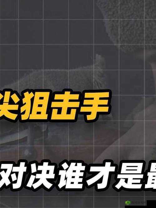 三个人黑白配:趣味对决谁称雄