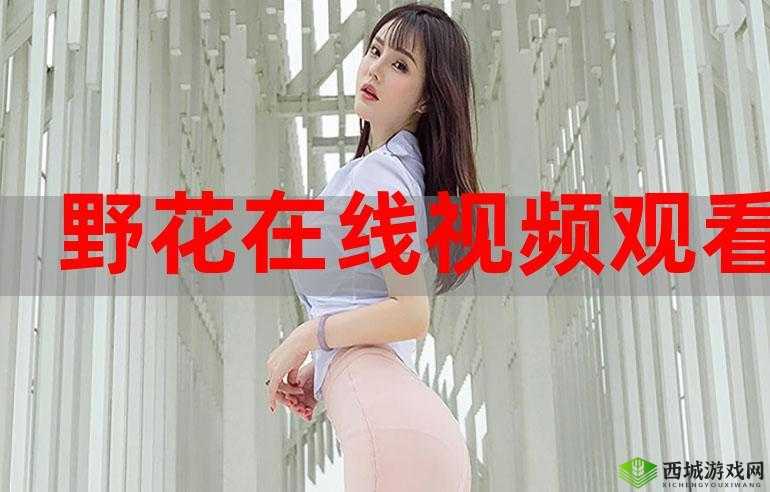 在线观看免费观看在线:畅享精彩无需付费