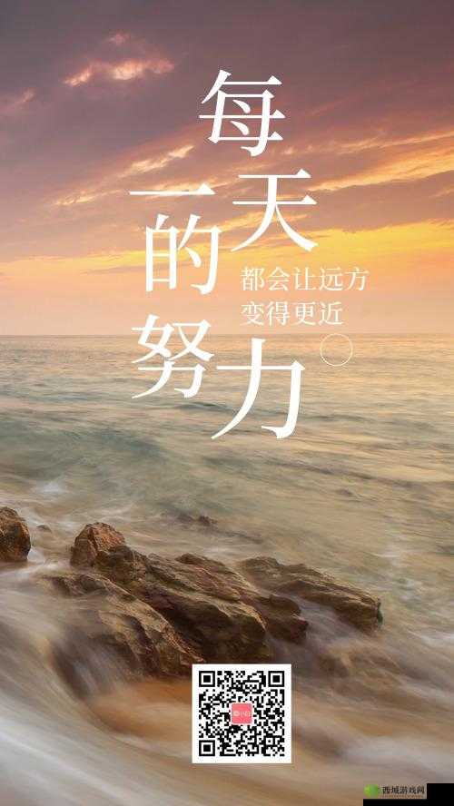 生活的每一天：充满激情与奋斗