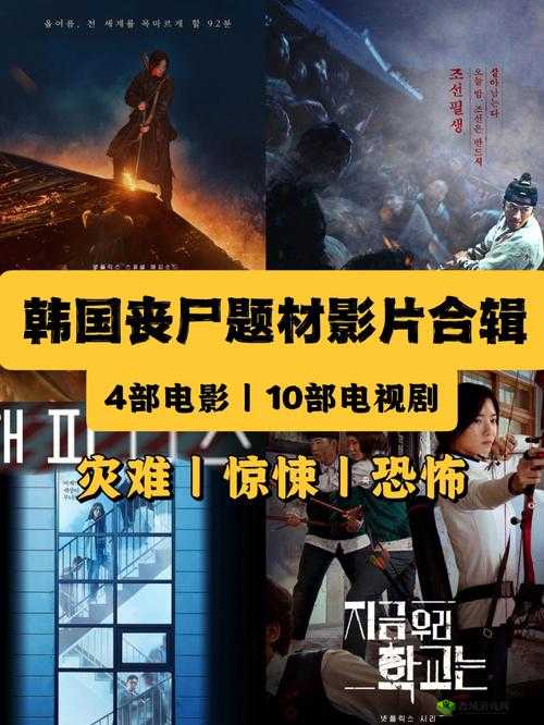 96533 电视影片免费获取技巧详解