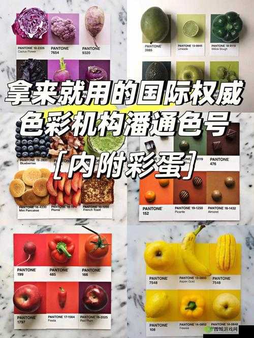 871c 潘通色点亮你的色彩世界:魅力无限