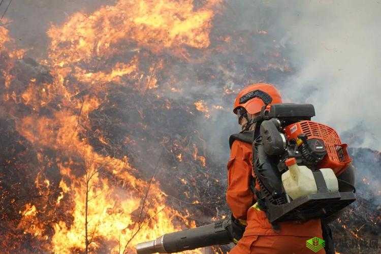 MC 灭火任务之英勇挑战与无畏奋战全过程大揭秘