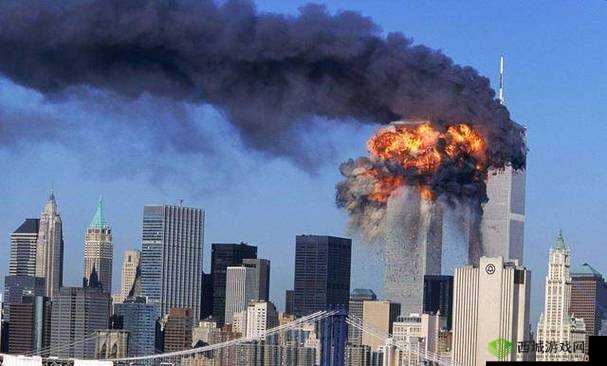 青娱乐 911:精彩内容不断