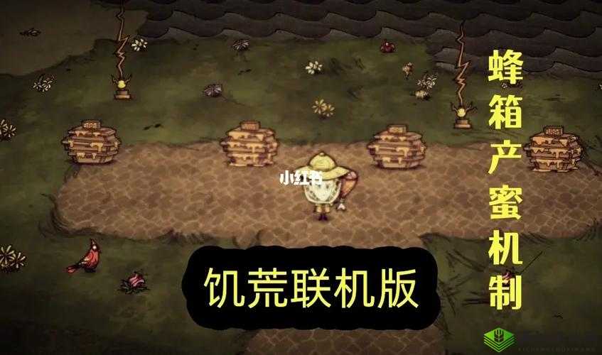 获取饥荒中蜂蜜的有效途径探索