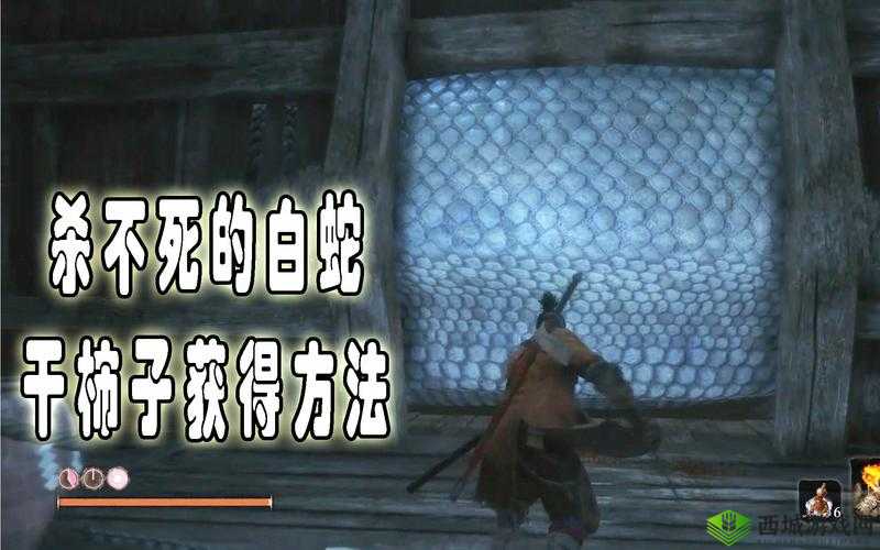 只狼游戏中白蛇洞穴里干柿子的获取全流程详细攻略