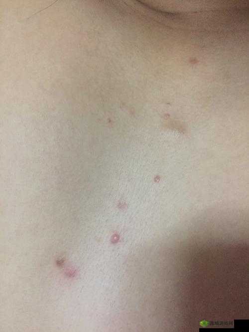 女生胸前的两个大包包有什么用：深度解析