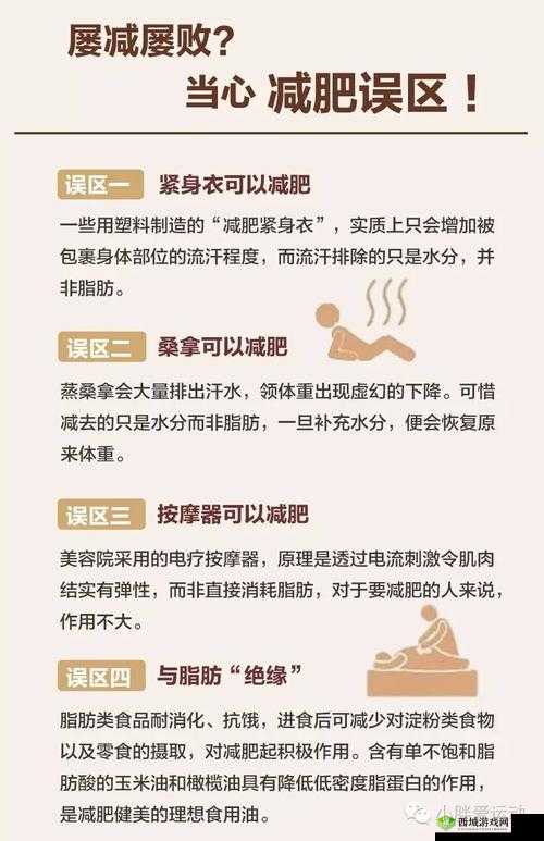 探索暴走英雄坛瘦身秘籍:健康饮食与高效运动结合