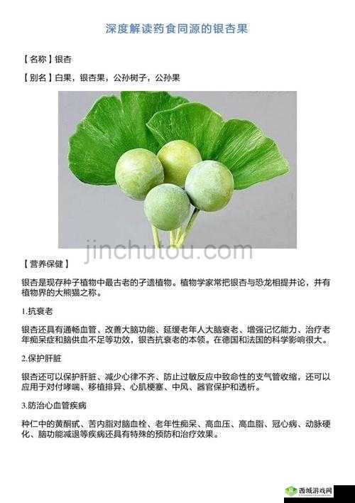 爆炒多汁小美人的一百种方法:详细解读