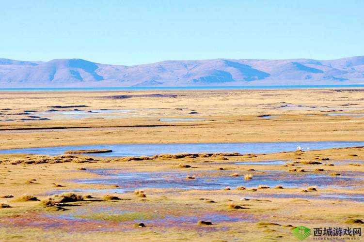 无人区编码 6229Jm 观天下事：引发众议的神秘编码