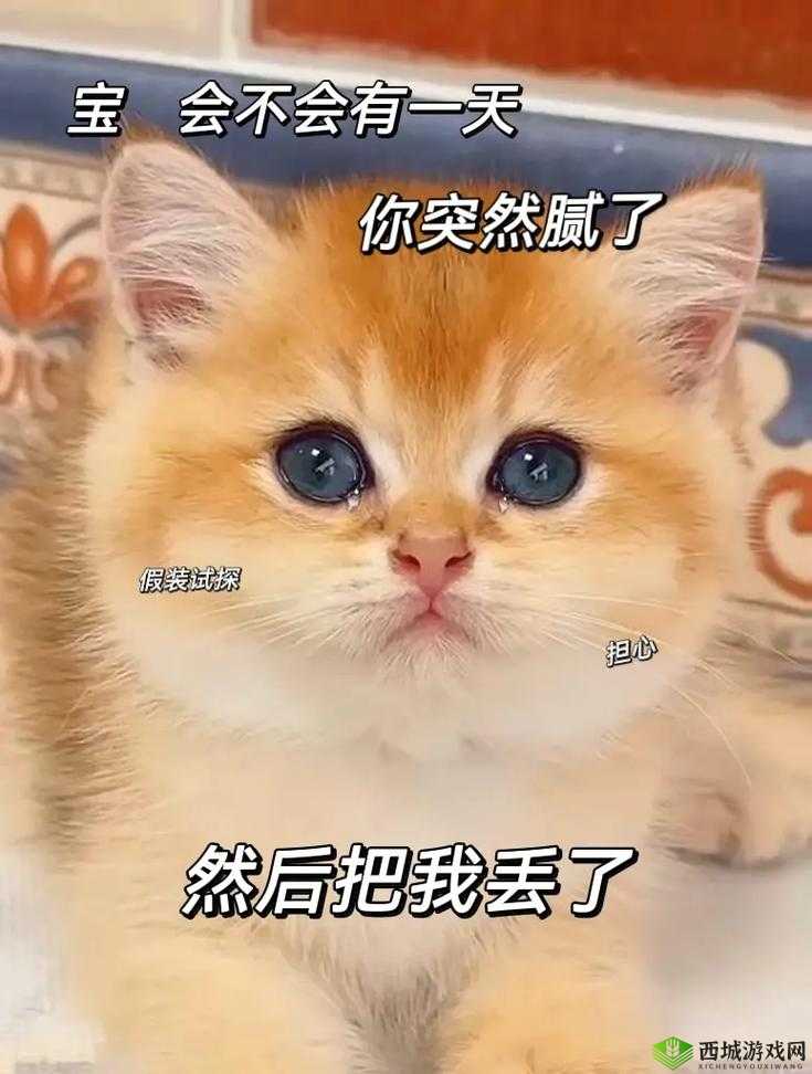 被你赞过的朋友圈应该叫什么圈这是个值得思考的问题圈