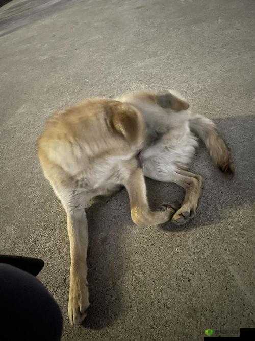 男的和女的打牌不盖被子的情况如何:结果意想不到