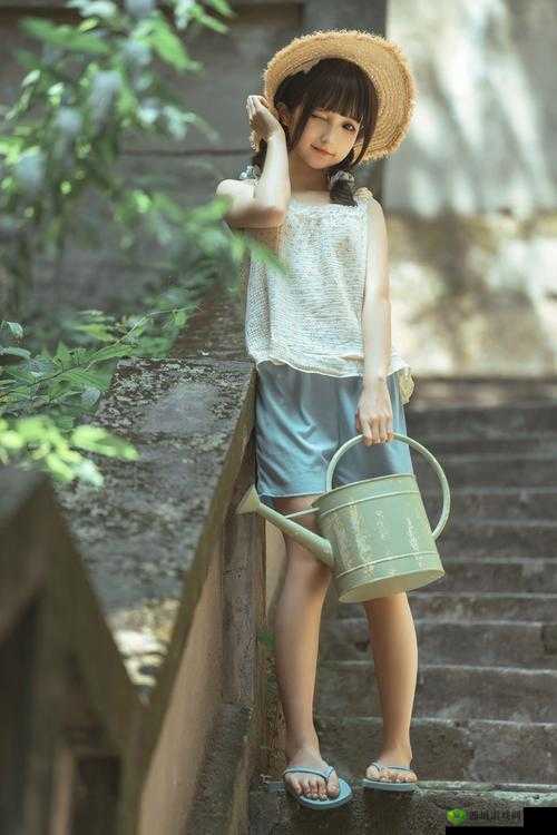 深度开发 1v6TXT 下载资源获取