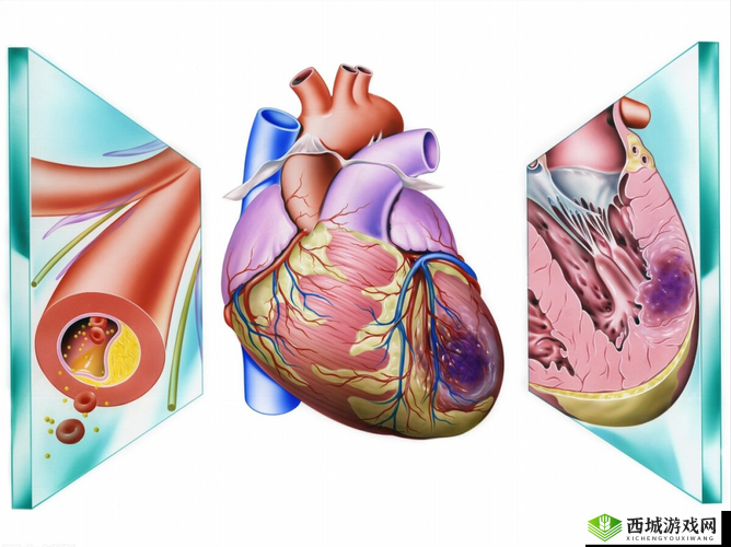 喷泉 1v3 阿司匹林事件相关