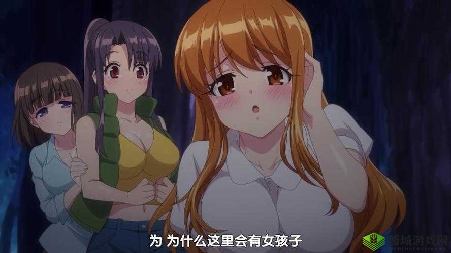 后营露宿 2:不一样的体验