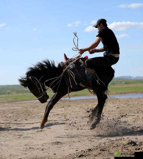 领地人生MMO驯马攻略:掌握驯服野马的关键步骤与技巧介绍