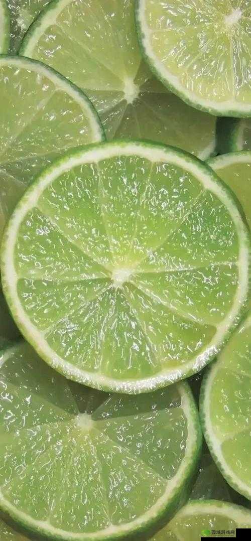 may19-XXXXXL 新品来袭