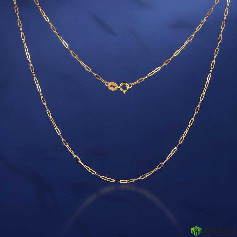 18k 金：永恒的时尚之选