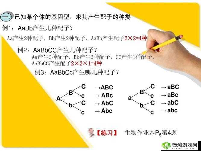 是 AAA 好还是 AABBCC：一场关于选择的思考