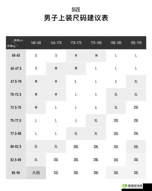 欧洲尺码日本尺码专线美国 T 相关信息