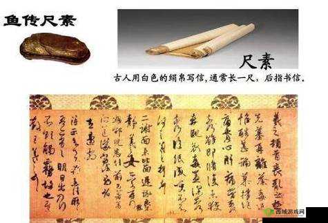 校园绑定 jy 收集系统网传操作简单:这是真的吗?