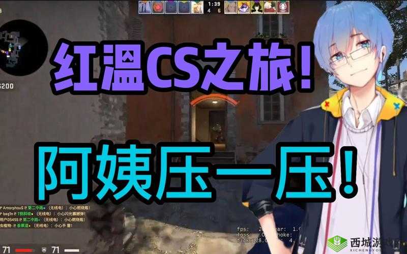 55 岁大妈玩的 csgo 背后故事：令人惊叹的游戏之旅