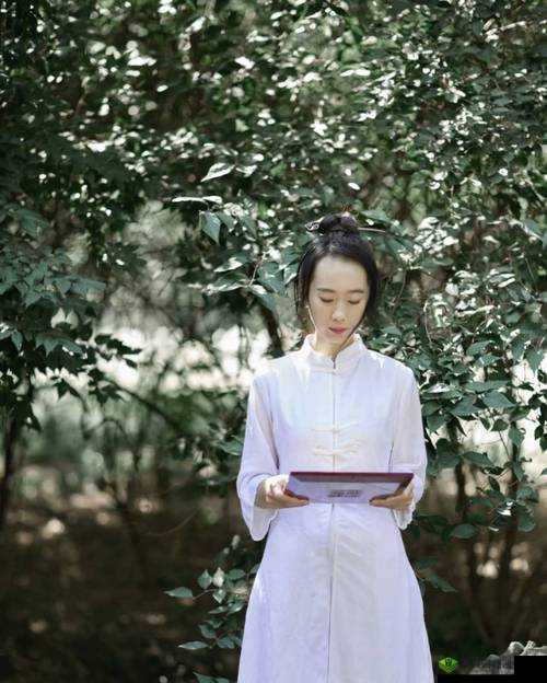 丰年经继拇：传承与发展的奥秘