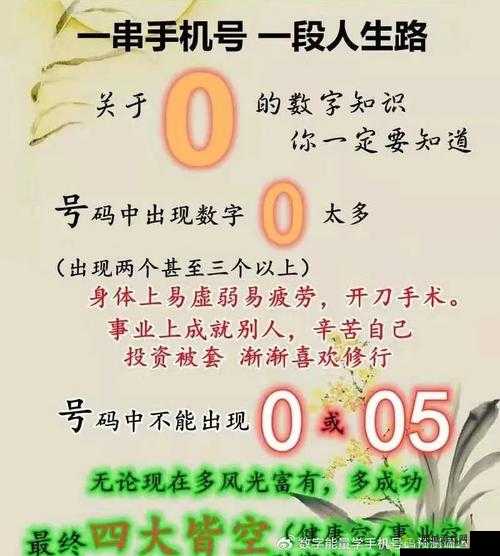 关于迷你西游小白龙飞升 5 星所需满足条件的详细解读