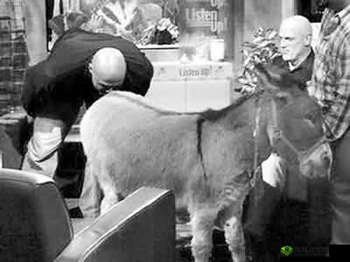 成年人影院:人兽交配引争议