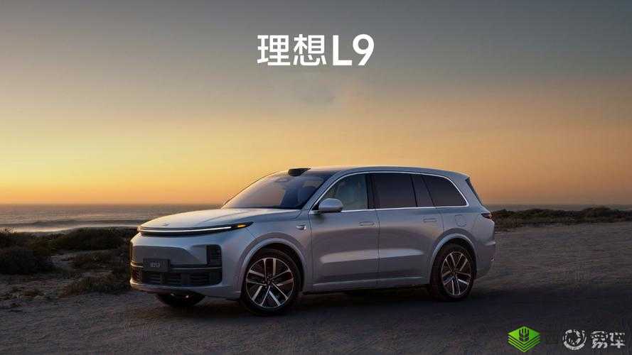 497799 欧洲版国产 SUV:家庭出行的理想之选