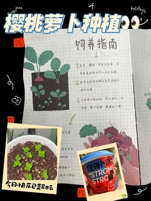 免费拔萝卜直播怎么赚钱:实用盈利指南